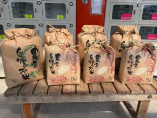 令和8年度の新米御殿場コシヒカリの販売を開始しました。
全て厳選特A1等米、色彩選別機使用の精米です。
お値段は去年よりお安く5㌔入り税抜2778円(税込3000円)、3㌔入り税抜1667円(税込1800円)です。
美味しいお米が食べたい方に是非食べて頂きたいです。
やっと天気も☀️続くようになったので野菜🥦🥬の苗植え付けました。今年は葉物野菜が高いので大切に育てたいです。
#ごてんばコシヒカリ
#コシヒカリ
#厳選特A1等米
#美味しいお米