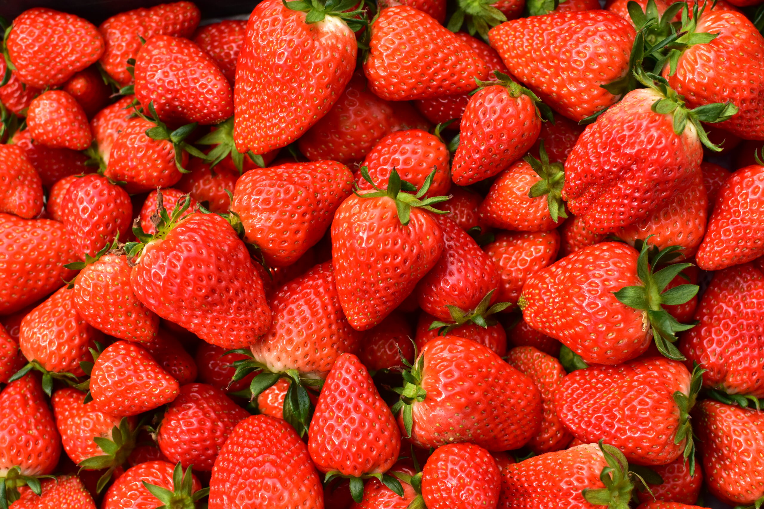 りとるぱいんのいちご